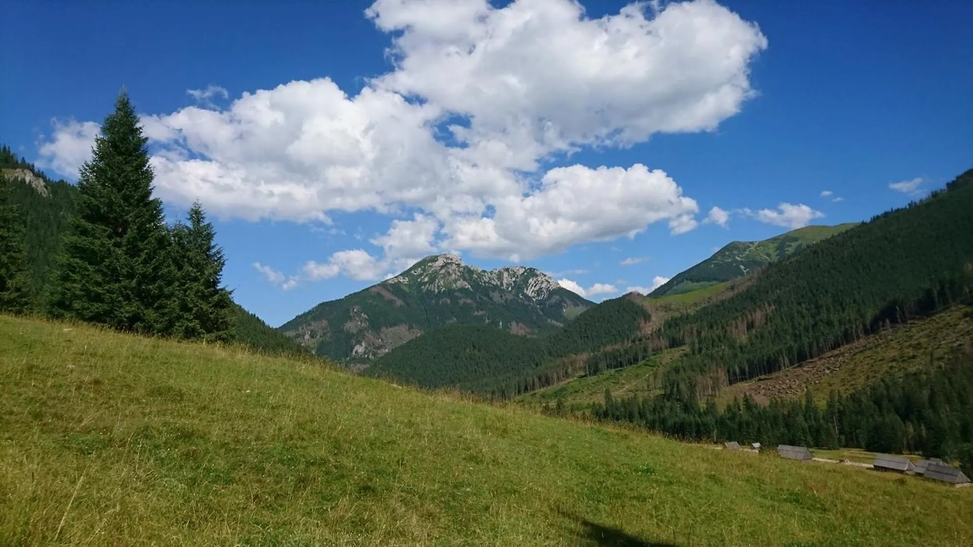 Homestay U Suchowiana Holiday home Zakopane Poland
